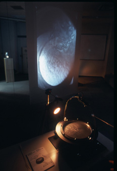  �q�����F�@�����s���V���[�Y�@CHAOSMOS�^�y���늰