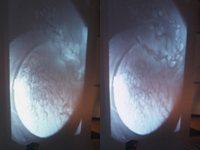 �q�����F�@�����s���V���[�Y�@CHAOSMOS�^�y���늰